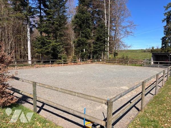 A VENDRE PROPRIETE FERME CHEVAUX EQUESTRE

Propriété / Ferme comprenant : 
- sous-sol : cave...