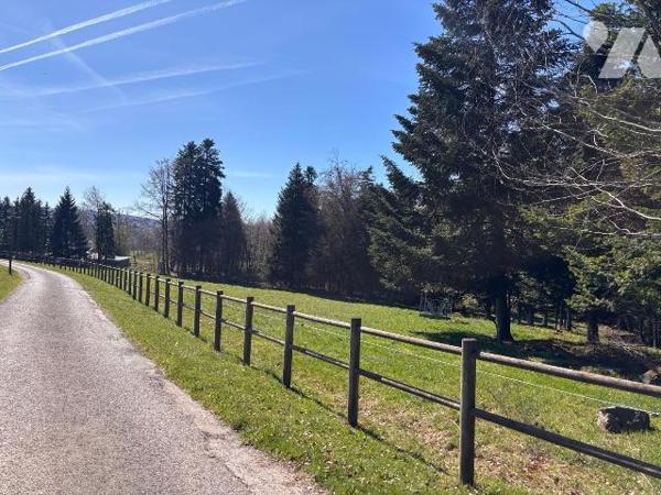A VENDRE PROPRIETE FERME CHEVAUX EQUESTRE

Propriété / Ferme comprenant : 
- sous-sol : cave...