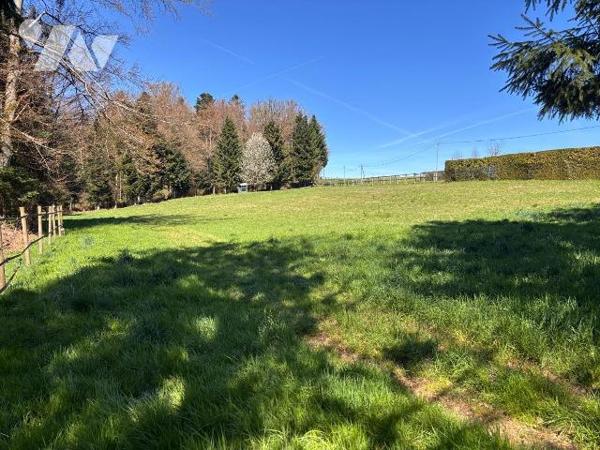 A VENDRE PROPRIETE FERME CHEVAUX EQUESTRE

Propriété / Ferme comprenant : 
- sous-sol : cave...