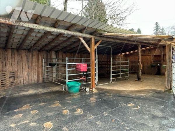 A VENDRE PROPRIETE FERME CHEVAUX EQUESTRE

Propriété / Ferme comprenant : 
- sous-sol : cave...