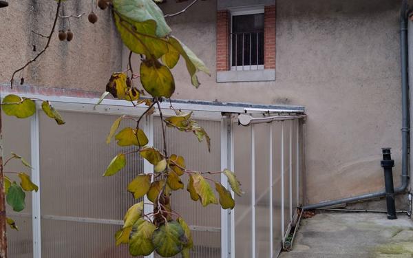 Maison à vendre    5 pièces •  Mazamet