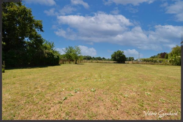 St seurin sur l'isle - Maison 150 m² + hangars sur 3800 m² de terrain