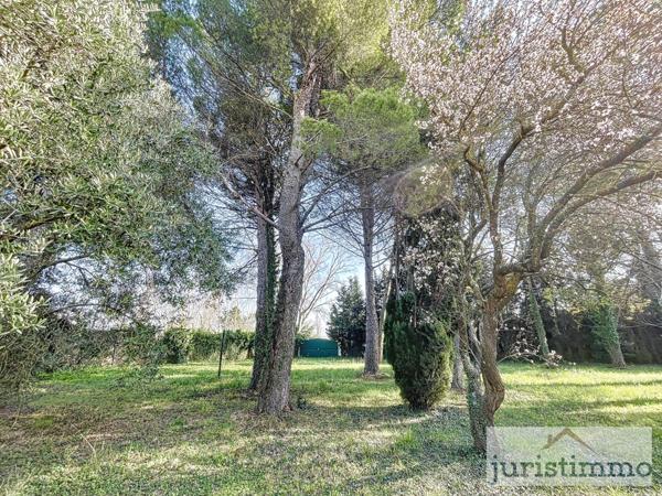 Orange (84100) Maison de Maître du XVIII ème siècle à Orange