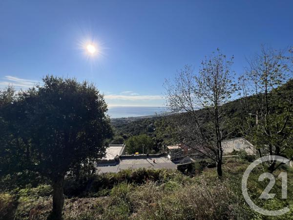 Terrain à vendre  1500 m2 BASTIA - 202