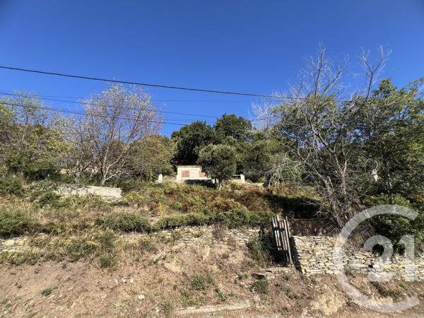 Terrain à vendre  1500 m2 BASTIA - 202