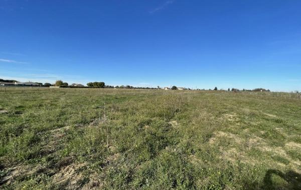 Vente Terrain Gallargues-le-montueux   