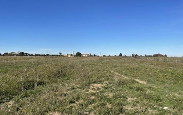 Vente Terrain Gallargues-le-montueux   