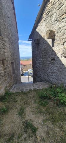 Maison à vendre 3 pièces LE MALZIEU FORAIN (48)