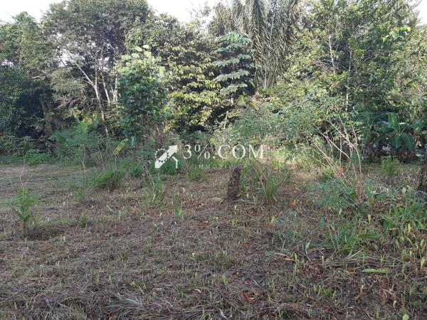 A VENDRE A ROURA BEAUSEJOURS PARCELLES AGRICOLES DE 5000M²  Roura (97352)
