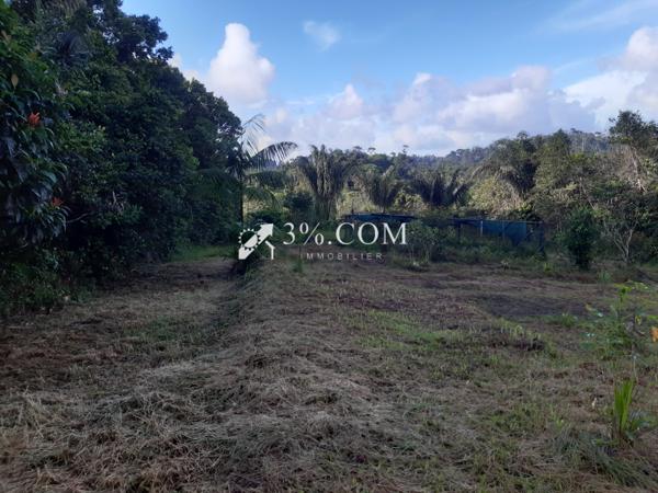 A VENDRE A ROURA BEAUSEJOURS PARCELLES AGRICOLES DE 5000M²  Roura (97352)