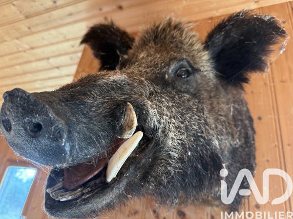 Terrain à vendre 991 703 m² Montayral