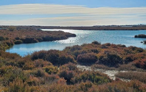 Vente Maison avec coin à 500 m de la plage Portiragnes