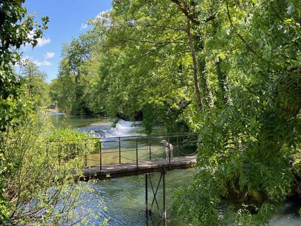 Un moulin sur la Sèvre Niortaise...