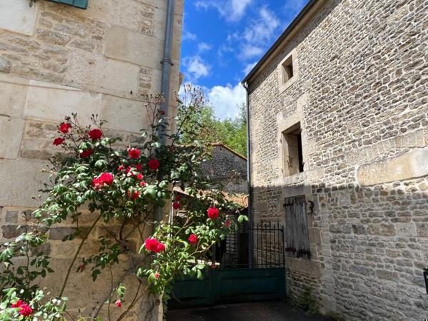 Un moulin sur la Sèvre Niortaise...