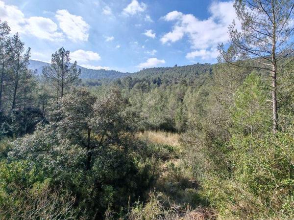 Terrain à vendre 45 000 € Solliès-Toucas 8475 m² DPE