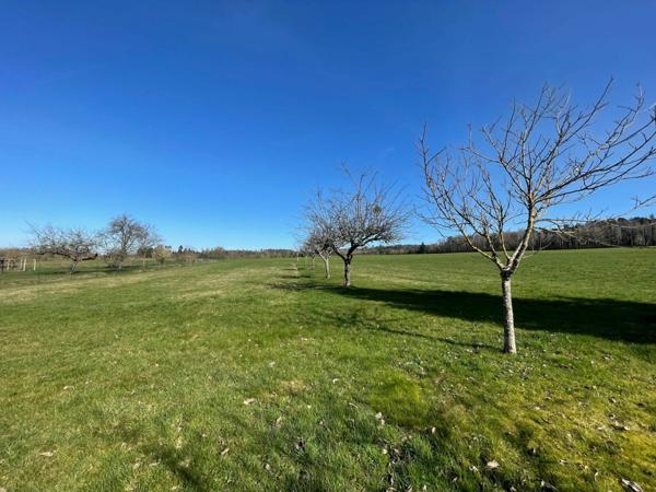 Maison à vendre    4 pièces •  Grandvillers