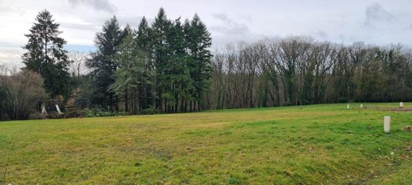 Lot de 6 terrains viabilisés à Saint Bohaire