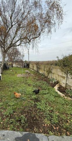 BATZ SUR MER GRANDE MAISON  CHARME DE L'ANCIEN AVEC GARAGE ET JARDIN BEAUCOUP DE CHARME