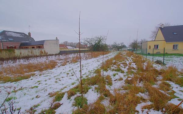 Terrain à vendre    Mesnil-Saint-Nicaise