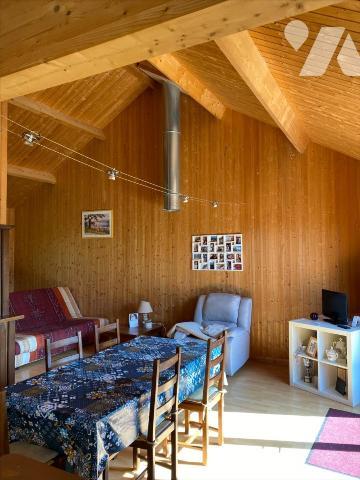 SAINT SYMPHORIEN DES BRUYERES - Chalet en bois