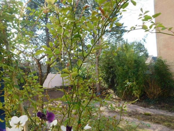 Maison à vendre à Châteauroux dans l'Indre (36000), ref : MAIS/714   
JEAN GIRAUDOUX/LEON XIII