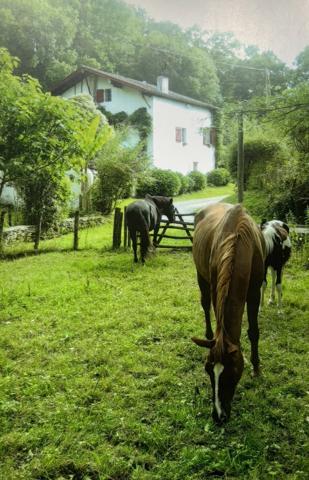 Cambo-les-Bains (64250) Maison Labourdine Cambo les Bains