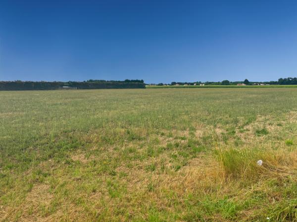 Local Commercial 2 pièces - 70 m² Exclusivité efficity