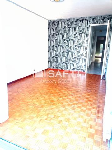 appartement 94m2 , 4P traversant lumineux , balcon, terrasse , cave, 2 salle d'eau ,3wc