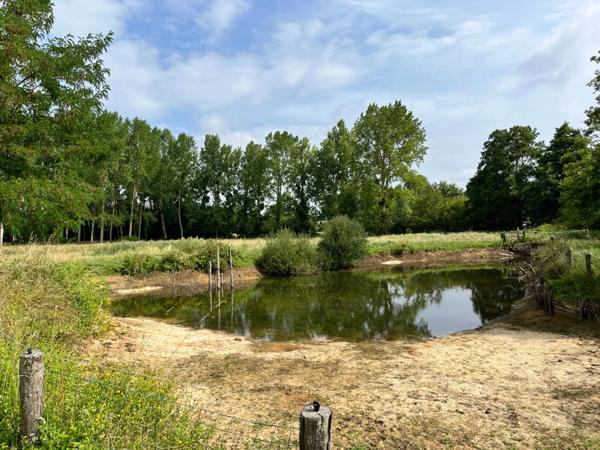 Maison de campagne dans un magnifique environnement !