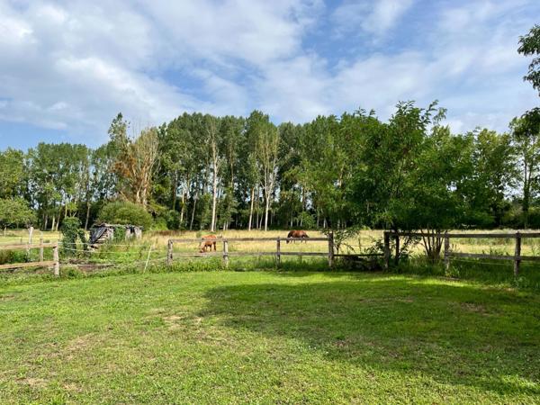 Maison de campagne dans un magnifique environnement !