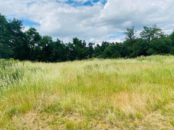 A vendre Maison Montluçon 5 pièces (158 m² hab) - Séjour (60m²) - Terrain en partie constructible 2846 m² Montlucon