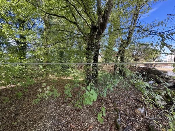 Vente                                                      Maison de village
                        
                     5 pièces                      78 m2                     à Liffol-le-Grand