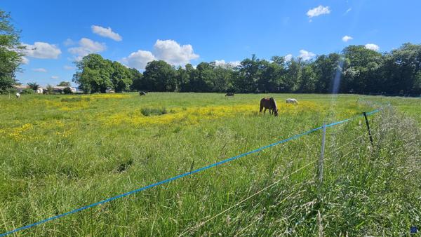 Charentaise de 300 m² à SEMUSSAC