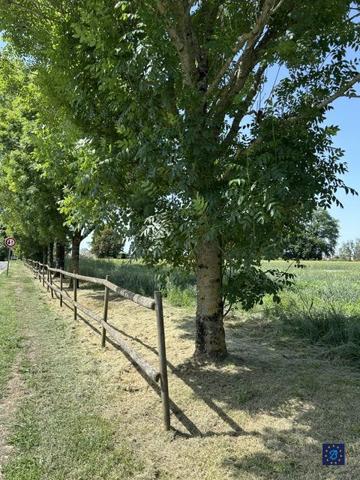Charentaise de 300 m² à SEMUSSAC