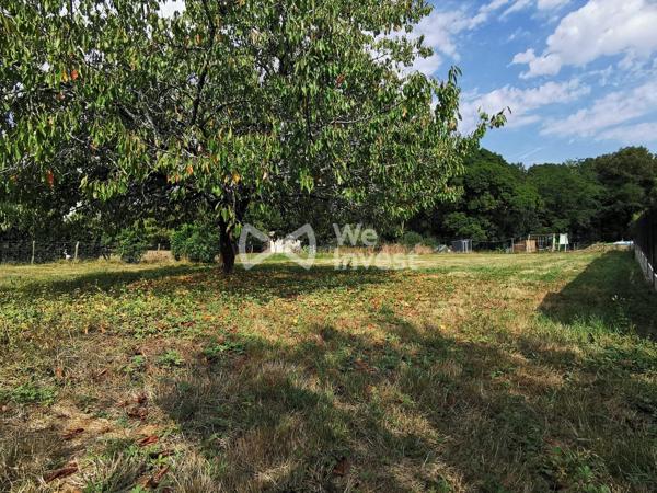 TERRAIN CONSTRUCTIBLE SALIGNAC 973 m²
