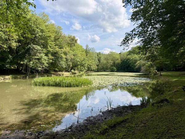 Maison ancienne - Les eyzies Propriété de caractère ade 20 hectares avec maison principale, maison d'amis, piscine, étang et cadre naturel
