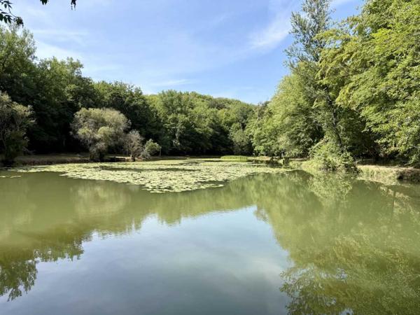Maison ancienne - Les eyzies Propriété de caractère ade 20 hectares avec maison principale, maison d'amis, piscine, étang et cadre naturel