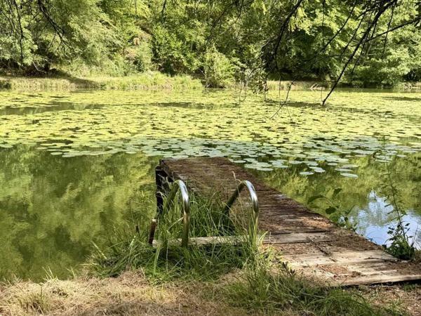 Maison ancienne - Les eyzies Propriété de caractère ade 20 hectares avec maison principale, maison d'amis, piscine, étang et cadre naturel