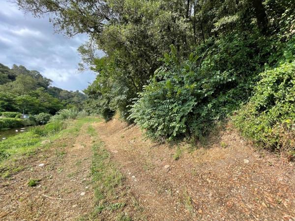 PEGOMAS, Terrain de 9 720,00 m² avec lots d'habitation et lots commerciaux loués