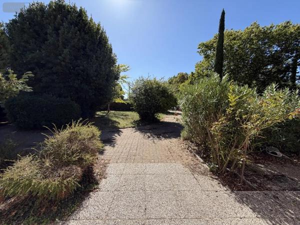 Achat - Maison Chanceaux-sur-Choisille 37390 8 pièces 219 m 2 6130 m 2