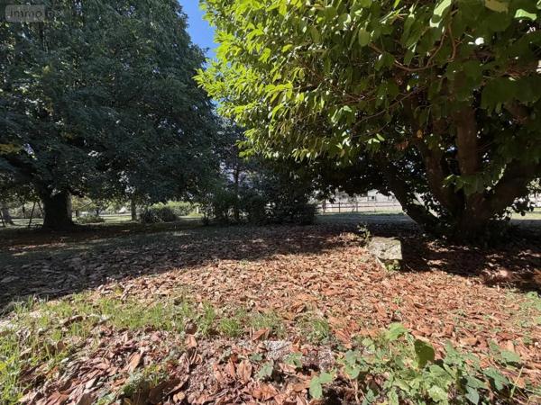 Achat - Maison Chanceaux-sur-Choisille 37390 8 pièces 219 m 2 6130 m 2
