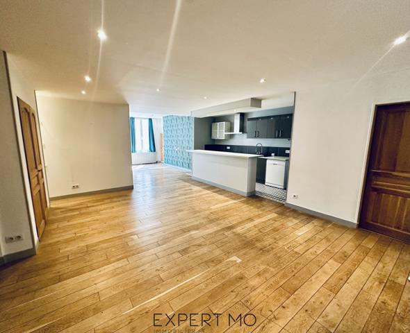 Troyes (10000) Bouchon troyenne Appartement à vendre 107m²