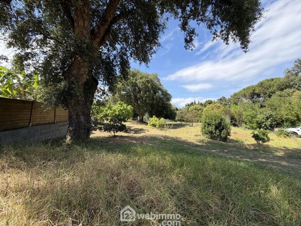 Maison 97 m² à Biguglia 20620