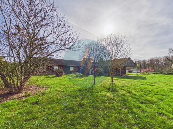 Pouilly-sur-Loire (58150) Longère en bois 300m2, 5 chambres, chenils, boxes à chevaux sur 2 hectares clos entre champs et forêt