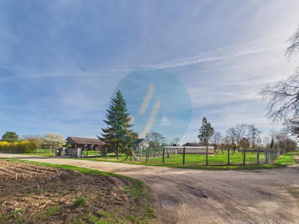 Pouilly-sur-Loire (58150) Longère en bois 300m2, 5 chambres, chenils, boxes à chevaux sur 2 hectares clos entre champs et forêt
