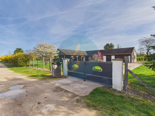 Pouilly-sur-Loire (58150) Longère en bois 300m2, 5 chambres, chenils, boxes à chevaux sur 2 hectares clos entre champs et forêt