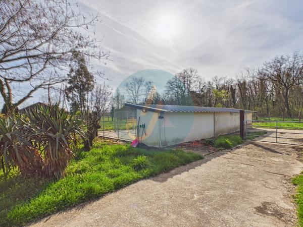 Pouilly-sur-Loire (58150) Longère en bois 300m2, 5 chambres, chenils, boxes à chevaux sur 2 hectares clos entre champs et forêt