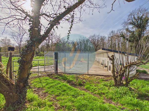 Pouilly-sur-Loire (58150) Longère en bois 300m2, 5 chambres, chenils, boxes à chevaux sur 2 hectares clos entre champs et forêt