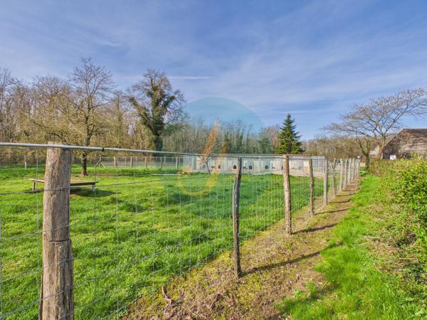 Pouilly-sur-Loire (58150) Longère en bois 300m2, 5 chambres, chenils, boxes à chevaux sur 2 hectares clos entre champs et forêt