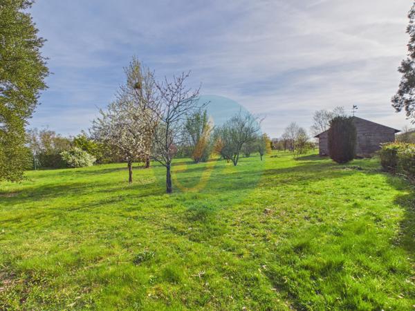 Pouilly-sur-Loire (58150) Longère en bois 300m2, 5 chambres, chenils, boxes à chevaux sur 2 hectares clos entre champs et forêt